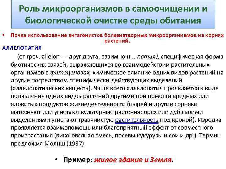 Роль микроорганизмов в самоочищении и биологической очистке среды обитания Почва использование антагонистов болезнетворных микроорганизмов