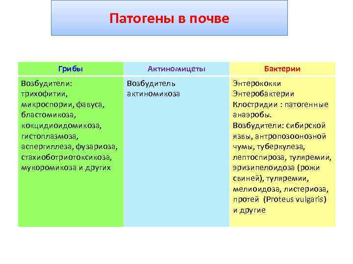 Патогены в почве Грибы Актиномицеты Возбудители: Возбудитель трихофитии, актиномикоза микроспории, фавуса, бластомикоза, кокцидиоидомикоза, гистоплазмоза,