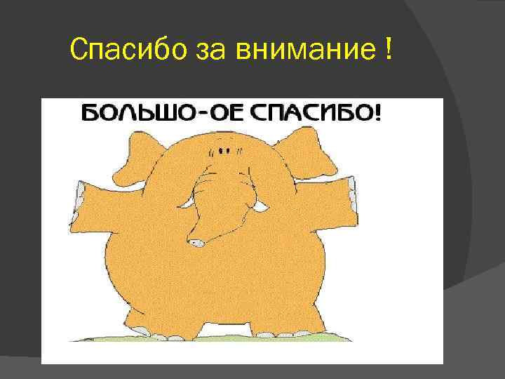 Спасибо за внимание ! 