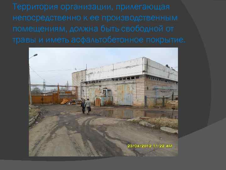 Территория организации, прилегающая непосредственно к ее производственным помещениям, должна быть свободной от травы и