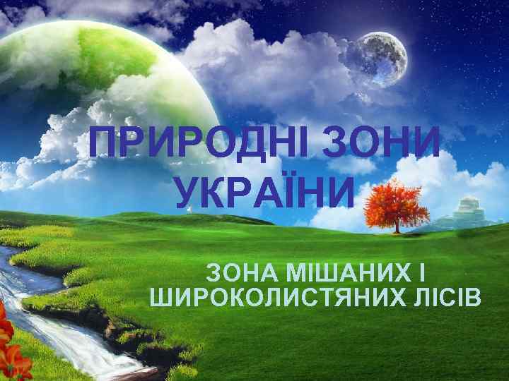 ПРИРОДНІ ЗОНИ УКРАЇНИ ЗОНА МІШАНИХ І ШИРОКОЛИСТЯНИХ ЛІСІВ 