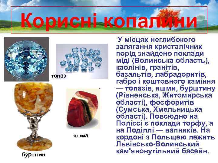 Корисні копалини топаз яшма бурштин У місцях неглибокого залягання кристалічних порід знайдено поклади міді