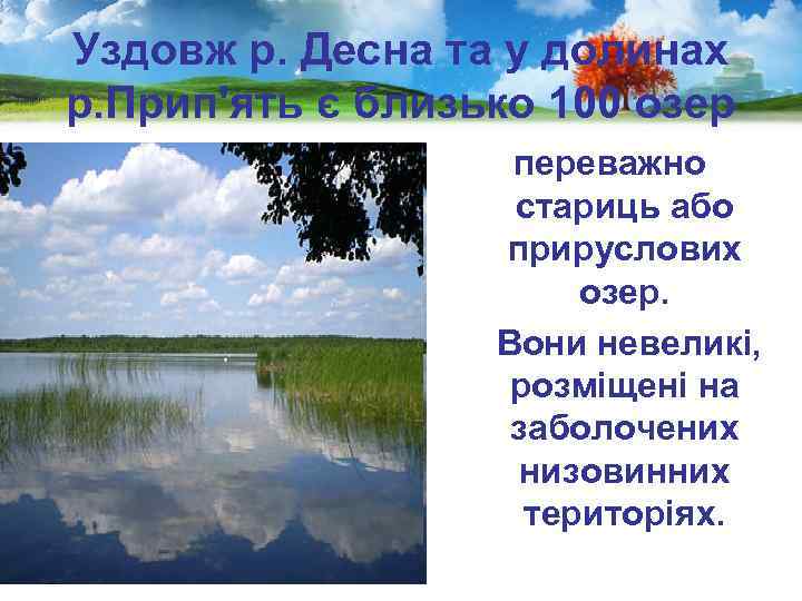Уздовж р. Десна та у долинах р. Прип'ять є близько 100 озер переважно стариць