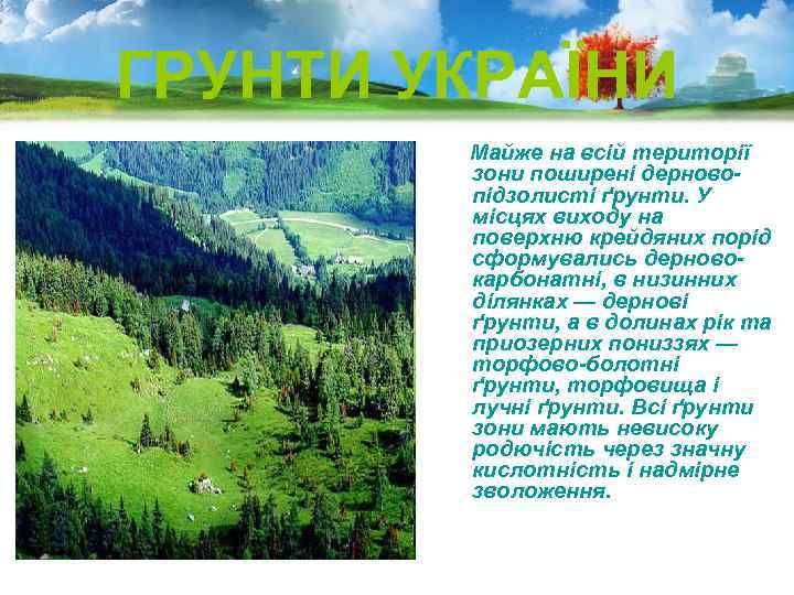 ГРУНТИ УКРАЇНИ Майже на всій території зони поширені дерновопідзолисті ґрунти. У місцях виходу на