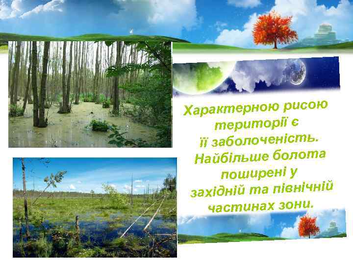 Характерною рисою території є її заболоченість. Найбільше болота поширені у західній та північній частинах