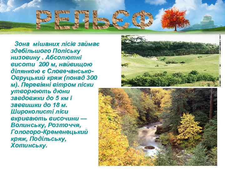 Зона мішаних лісів займає здебільшого Поліську низовину. Абсолютні висоти 200 м, найвищою ділянкою є