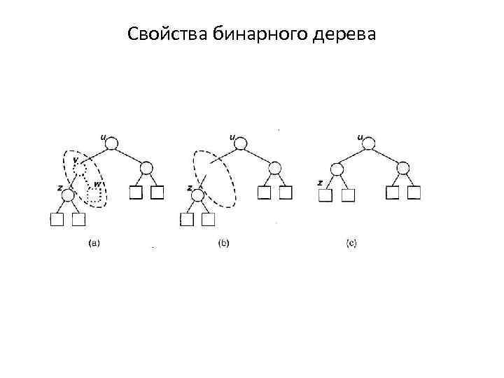 Свойства бинарного дерева 