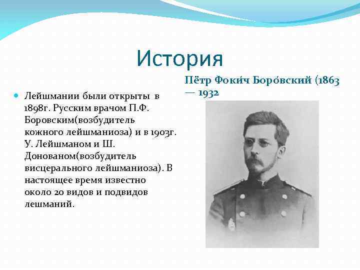 История Лейшмании были открыты в 1898 г. Русским врачом П. Ф. Боровским(возбудитель кожного лейшманиоза)