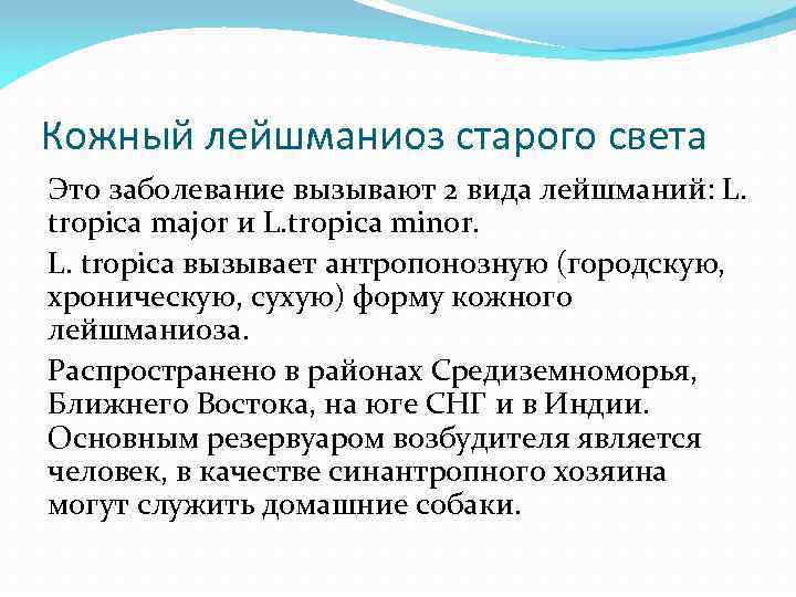 Кожный лейшманиоз старого света Это заболевание вызывают 2 вида лейшманий: L. tropica major и