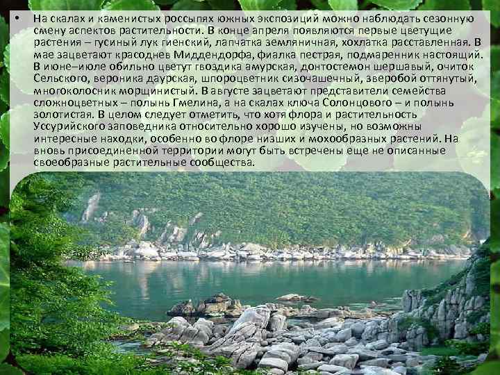  • На скалах и каменистых россыпях южных экспозиций можно наблюдать сезонную смену аспектов
