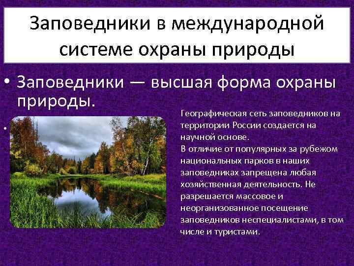 Функции природных заповедников. Охрана природы заповедники. Защита природных заповедников. Охрана природы. Заповедники России".. Форма охраны природы заповедники.