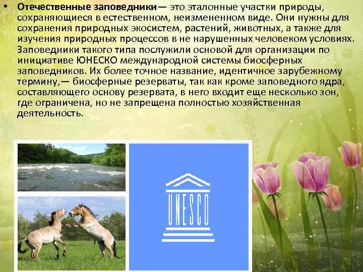  • Отечественные заповедники— это эталонные участки природы, сохраняющиеся в естественном, неизмененном виде. Они