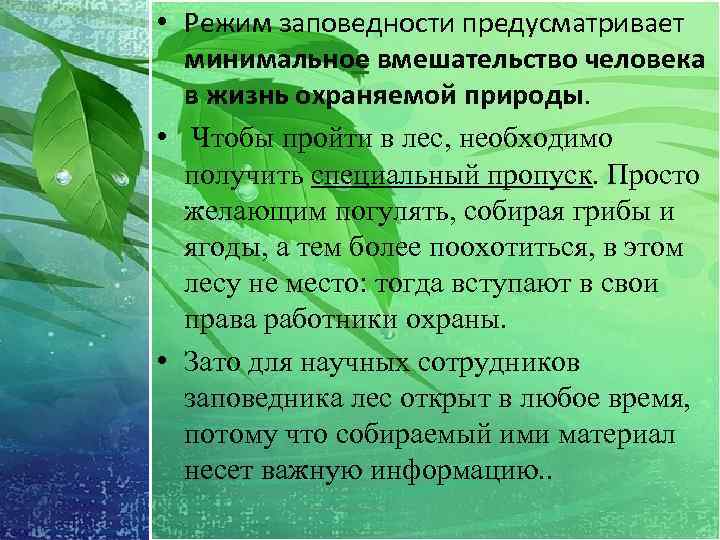  • Режим заповедности предусматривает минимальное вмешательство человека = в жизнь охраняемой природы. •