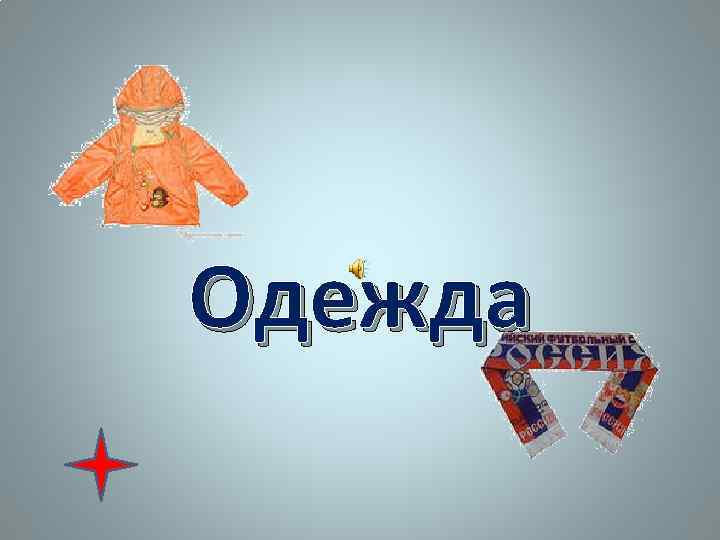 Одежда 