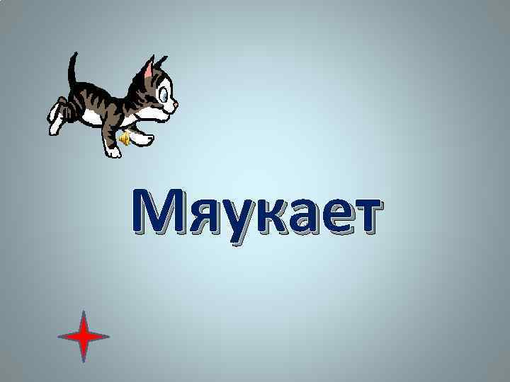 Мяукает 