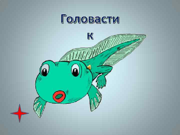 Головасти к 