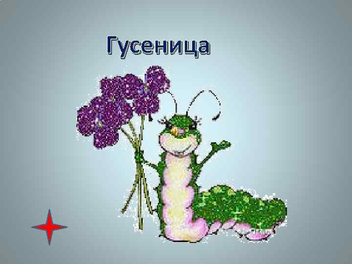 Гусеница 