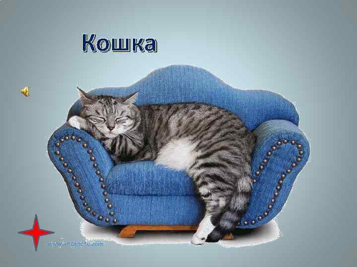 Кошка 