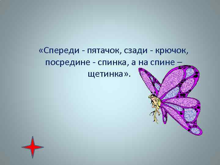  «Спереди - пятачок, сзади - крючок, посредине - спинка, а на спине –