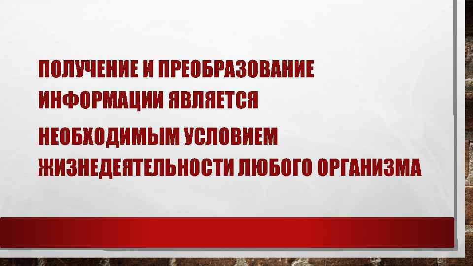 ПОЛУЧЕНИЕ И ПРЕОБРАЗОВАНИЕ ИНФОРМАЦИИ ЯВЛЯЕТСЯ НЕОБХОДИМЫМ УСЛОВИЕМ ЖИЗНЕДЕЯТЕЛЬНОСТИ ЛЮБОГО ОРГАНИЗМА 