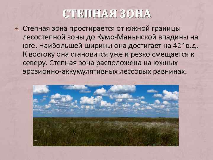 Какие территории россии занимает зона степи. Степная и лесостепная зона. Граница степей. Степная зона расположена на юге. Границы Степной зон.