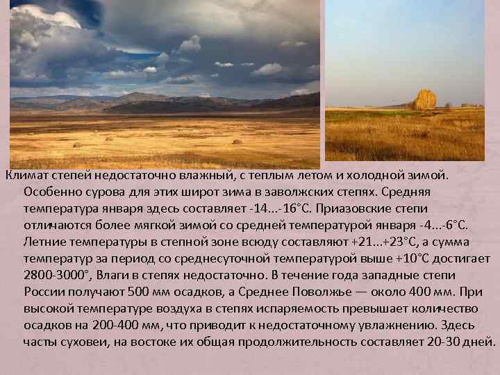 Климат степей и лесостепей в россии