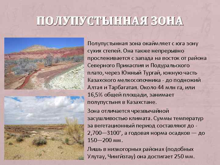 Особенности почв полупустынь. Климатические условия пустыни и полупустыни в России. Характеристика полупустыни. Полупустыни и пустыни Тип климата. Климат полупустынь.