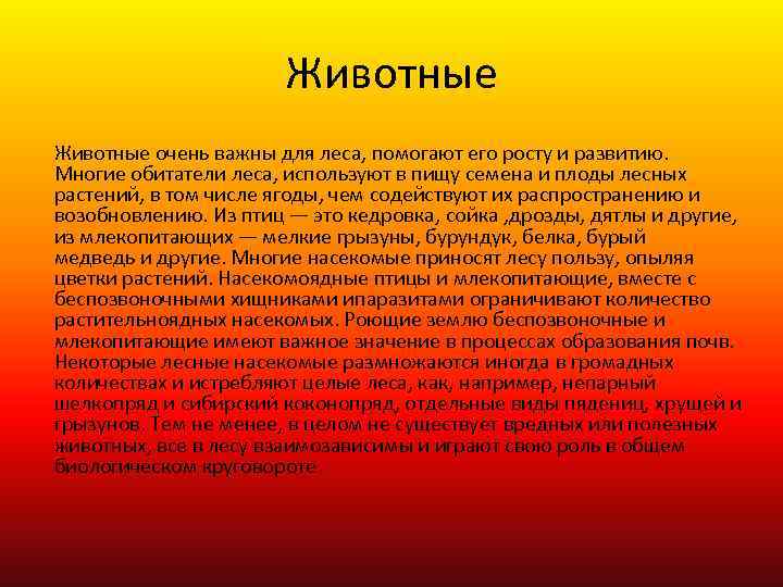 Животные очень важны для леса, помогают его росту и развитию. Многие обитатели леса, используют