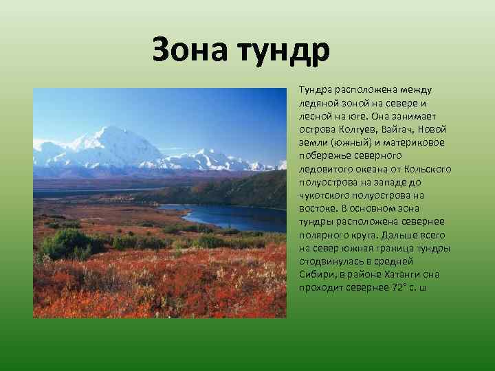 Зона тундр располагается на севере россии. Лесная зона к югу от тундры. К югу от тундры расположена. Лесная зона расположена от зоны тундры. К югу от зоны тундр располагается зона.