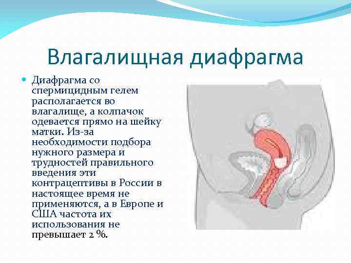 Расстройство после глотания спермы - Вопрос гинекологу - 03 Онлайн