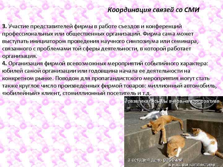 Координация связей со СМИ 3. Участие представителей фирмы в работе съездов и конференций профессиональных