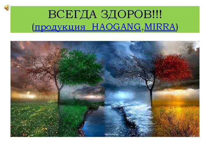 ВСЕГДА ЗДОРОВ!!! (продукция HAOGANG, MIRRA) 