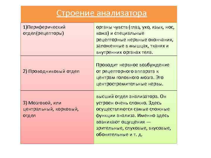 Строение анализатора 1)Периферический отдел(рецепторы) 2) Проводниковый отдел 3) Мозговой, или центральный, корковый, отдел органы