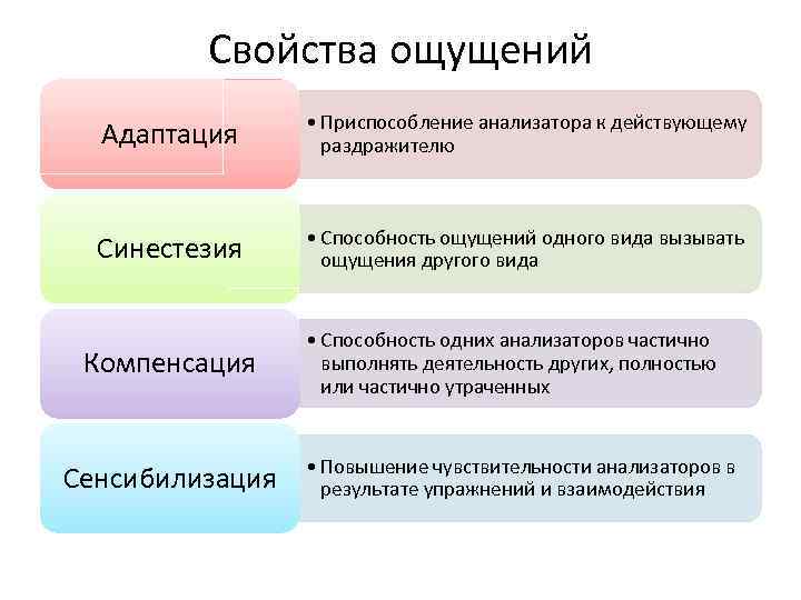 Общие свойства ощущений схема