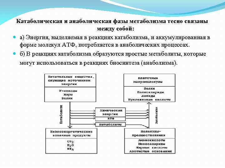 Как связаны между собой приложения класс и диск