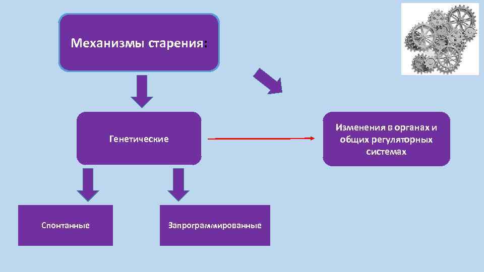 Механизмы геншин импакт