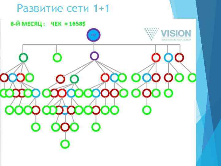 Развитие сети 1+1 