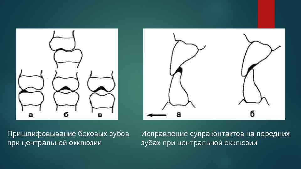 Федор зубов презентация