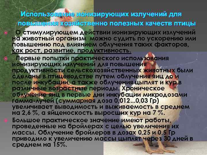 Использование ионизирующих излучений для повышения хозяйственно полезных качеств птицы О стимулирующем действии ионизирующих излучений