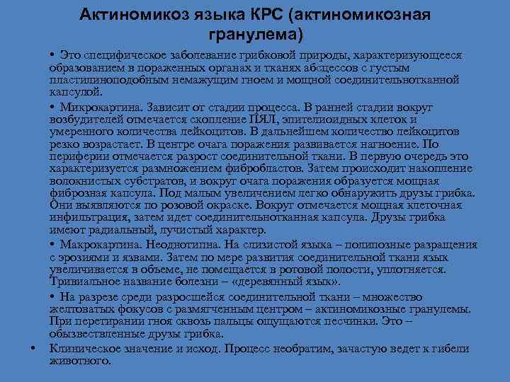 Актиномикоз языка КРС (актиномикозная гранулема) • • Это специфическое заболевание грибковой природы, характеризующееся образованием