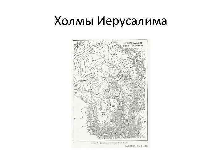 Холмы Иерусалима 