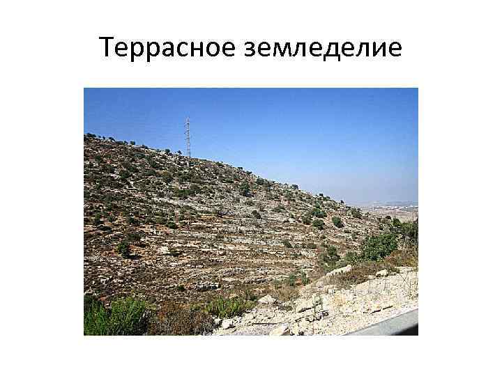 Террасное земледелие 