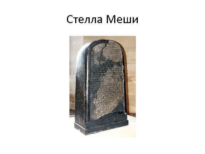 Стелла Меши 