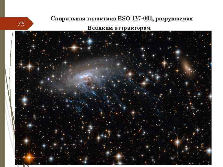 75 Спиральная галактика ESO 137 -001, разрушаемая Великим аттрактором 