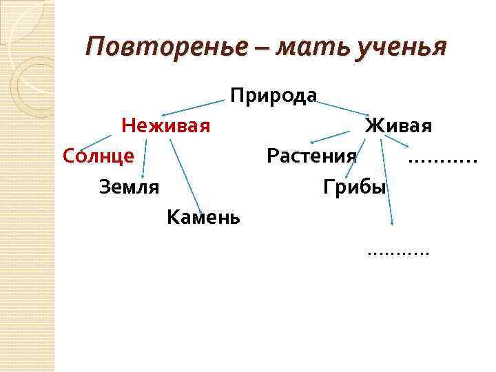 Повторенье – мать ученья Природа Неживая Живая Солнце Растения ………. . Земля Грибы Камень
