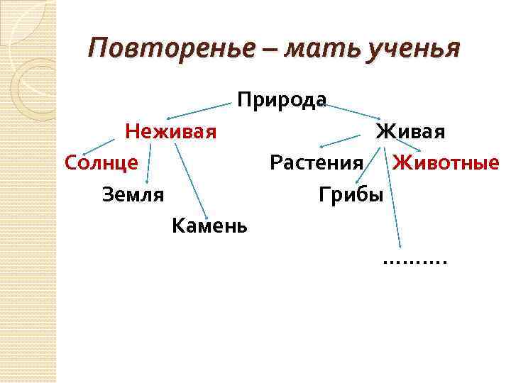 Повторенье – мать ученья Природа Неживая Живая Солнце Растения Животные Земля Грибы Камень ……….