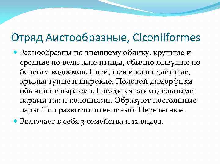 Отряд Аистообразные, Ciconiiformes Разнообразны по внешнему облику, крупные и средние по величине птицы, обычно