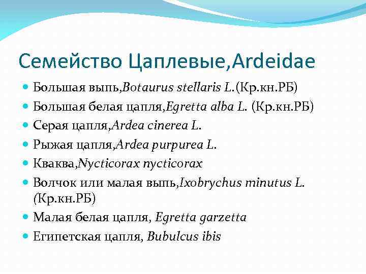 Семейство Цаплевые, Ardeidae Большая выпь, Botaurus stellaris L. (Кр. кн. РБ) Большая белая цапля,