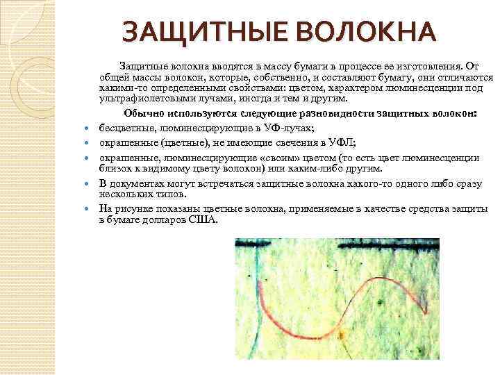 ЗАЩИТНЫЕ ВОЛОКНА Защитные волокна вводятся в массу бумаги в процессе ее изготовления. От общей