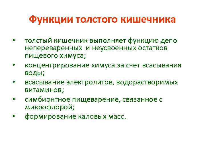 Функции толстого кишечника • • • толстый кишечник выполняет функцию депо непереваренных и неусвоенных